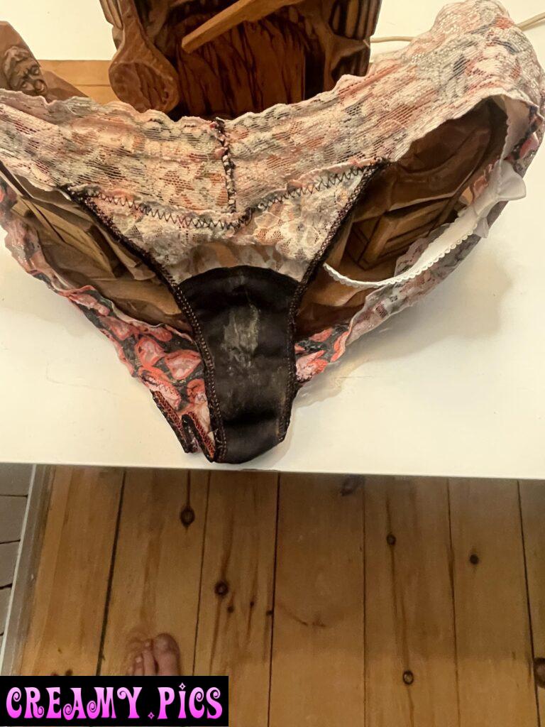 Your wife left her cum stained panties at my house?